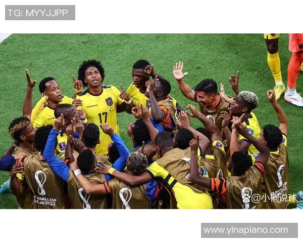 世界杯东道主备战进程分析与球迷热切期待的多重视角